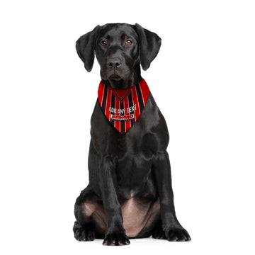 Bournemouth 2001 Home Shirt - Personalised Pet Bandana - 4 Sizes