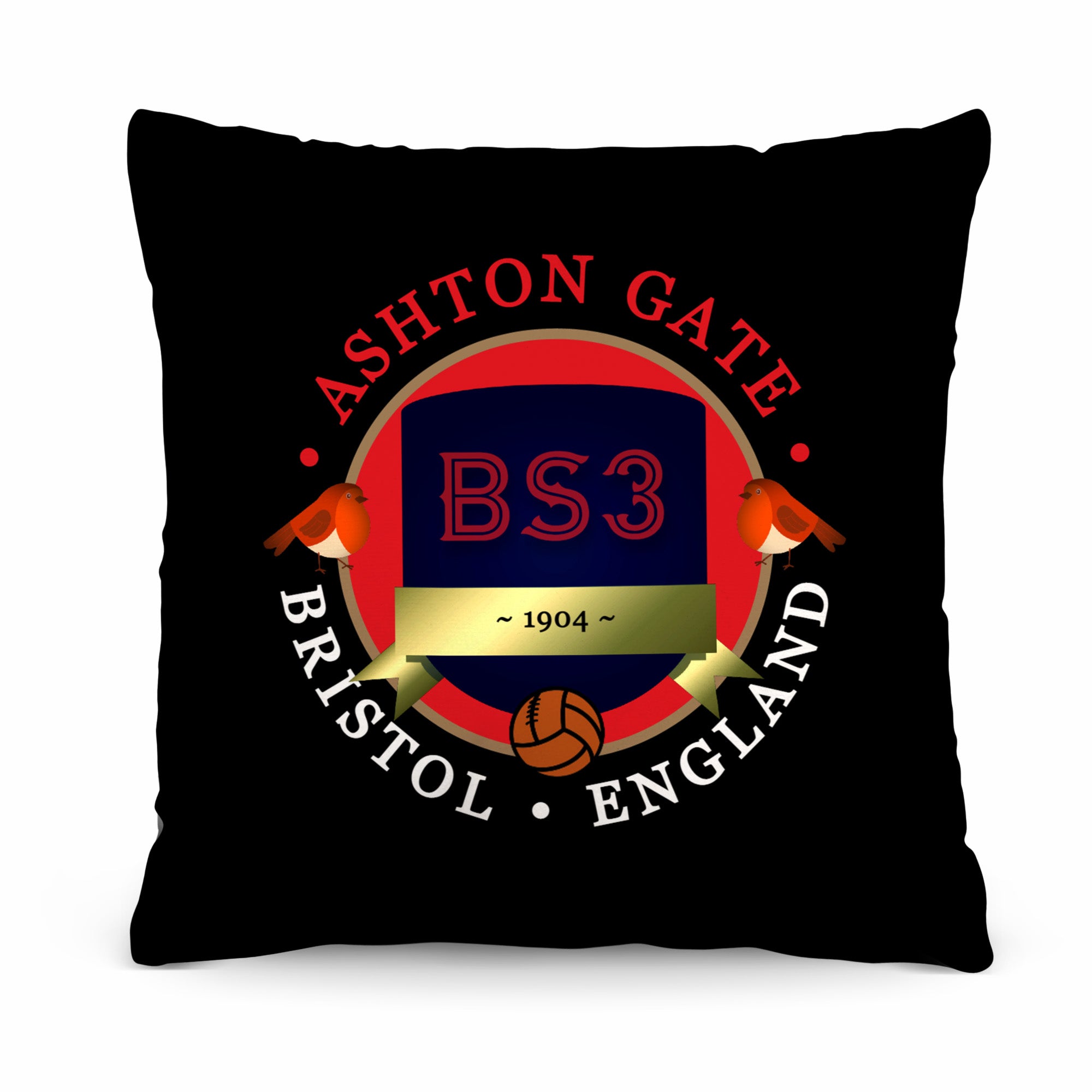 Bristol Aston Gate - Football Legends - Cushion 10"