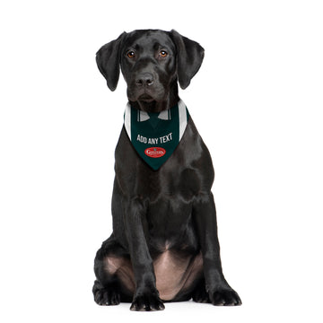 Plymouth 2003 Home Shirt - Personalised Pet Bandana - 4 Sizes