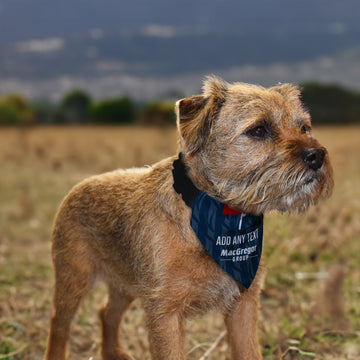 Ross County 1995 Home Shirt - Personalised Pet Bandana - 4 Sizes