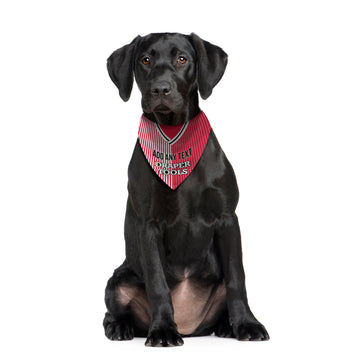 Soton 1987 Home Shirt - Personalised Pet Bandana - 4 Sizes