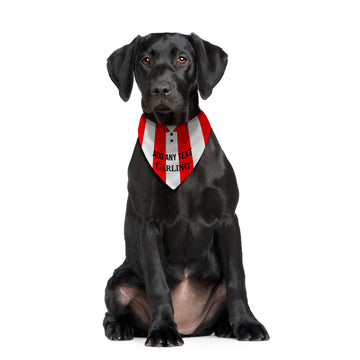 Stoke 1994 Home Shirt - Personalised Pet Bandana - 4 Sizes